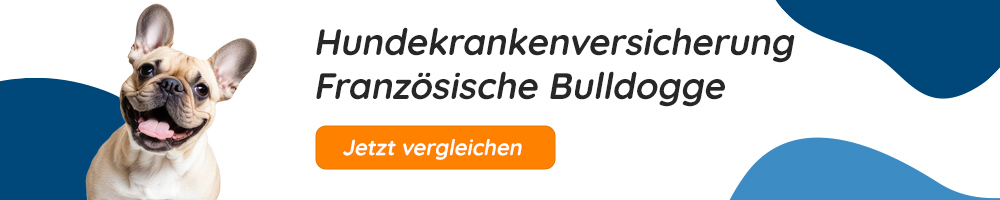 Hundekrankenversicherung für Französische Bulldoggen